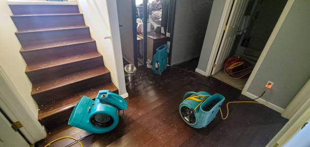 Best Flooded house restoration  in Blue Hills, CT