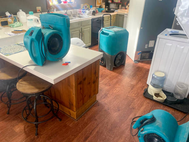 Best Professional water damage repair  in Blue Hills, CT