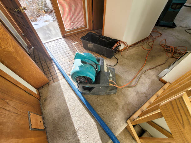 Best 24-hour water damage restoration  in Blue Hills, CT