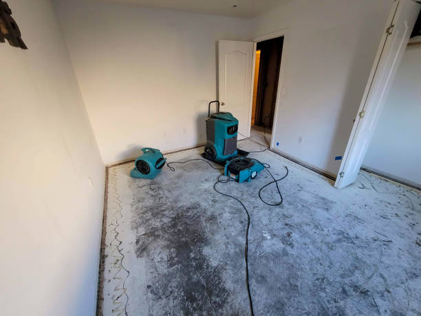 Best Commercial water damage restoration  in Blue Hills, CT