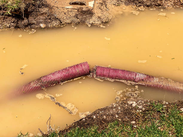 Water damage restoration insurance claims in Blue Hills, CT