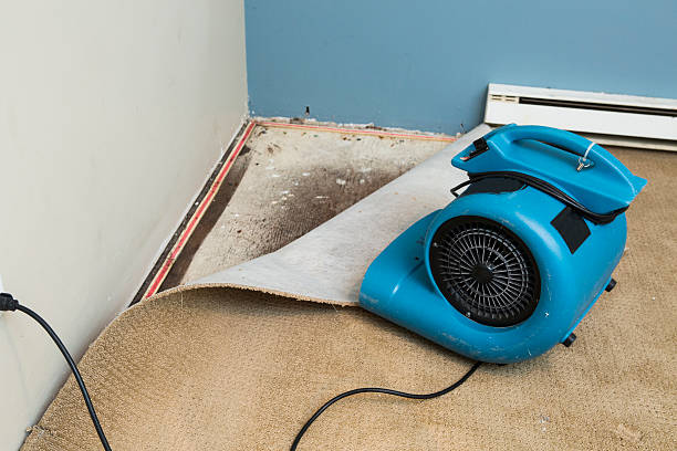 Best Flood restoration services  in Blue Hills, CT